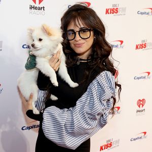 Ohne Shawn: Camila Cabello läuft mit Hund über Red Carpet!