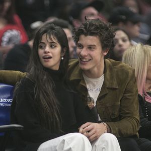 Camila Cabello konnte Shawn zwei Monate nicht "Baby" nennen