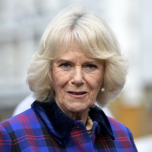 Royale Enthüllungen: Bedrohte Prinzessin Diana (†) Camilla?