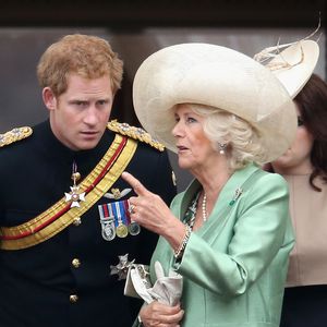 War Königin Camilla Schuld an Prinz Harrys kurzem Besuch?