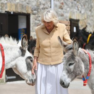 Déjà-vu? Das Outfit kennen wir schon, Camilla!