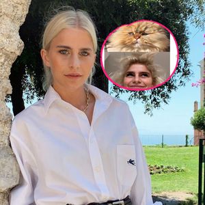 Follower finden: Caro Daur sieht morgens aus wie diese Katze