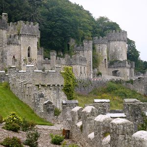 Nächster Skandal: Leiche nahe UK-Dschungelcamp gefunden!