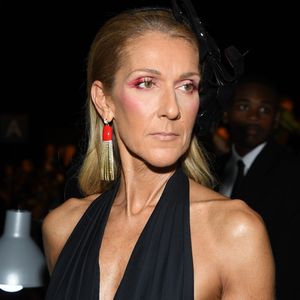 Gesundheitliche Probleme: Céline Dion sagt ihre Tournee ab
