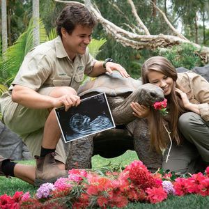 Bindi Irwin und Ehemann Chandler verraten das Babygeschlecht