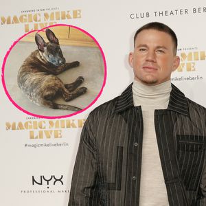 Nach Tod von Hund Lulu: Channing Tatum hat neuen Welpen