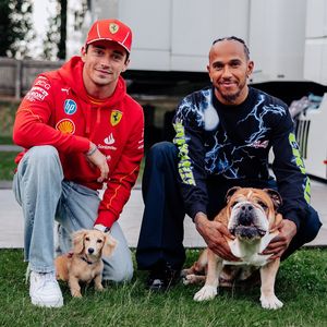Charles Leclerc und Lewis Hamiltons Hunde haben Spiel-Date!