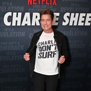 Reizthema Finanzen: Charlie Sheen blockt Interviewer ab