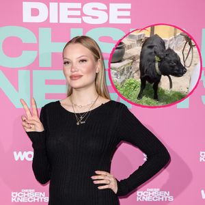 Zum Muttertag: Cheyenne Ochsenknecht bekommt ein Zwergrind