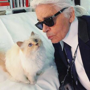 Ein Jahr nach Karl Lagerfelds Tod: Wie geht es Choupette?