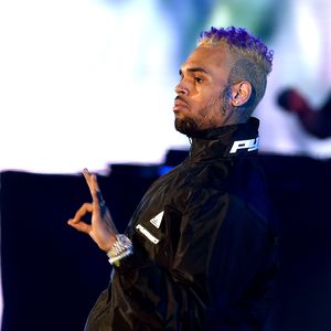 Halbes Jahr: Muss Chris Brown wegen eines Äffchens in Haft?