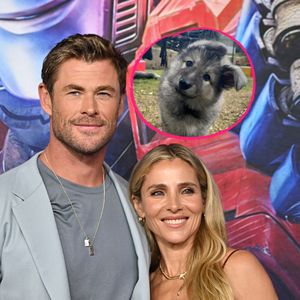 Chris Hemsworth und Elsa begrüßen pelziges Familienmitglied