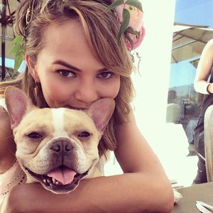 Tief getroffen: Chrissy Teigen trauert um Bulldogge Pippa