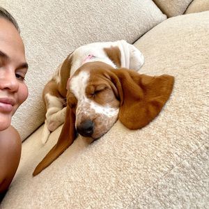Nach Tod ihrer Bulldogge: Chrissy Teigen hat neuen Hund