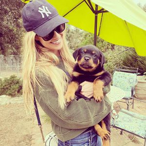 Nach Trennung: Christina Anstead schafft sich einen Hund an