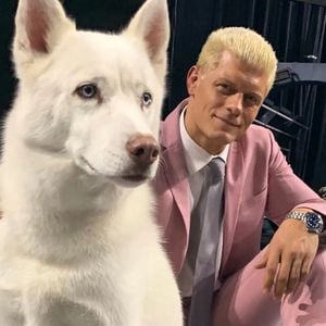 WWE-Star Cody Rhodes trauert um seinen treuen Husky Pharaoh