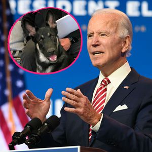 Beim Spielen mit Hund: Joe Biden hat sich den Fuß gebrochen!