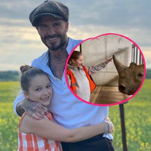 Vater-Tochter-Tag: Hier wird Harper Beckham zur Zoowärterin