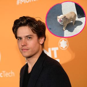 "Er war zu jung": Dylan Sprouse trauert um seinen Hund!