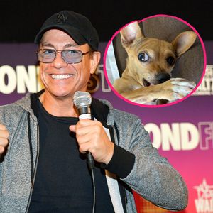 "Neue Freundin": Bei Jean-Claude van Damme zog ein Hund ein