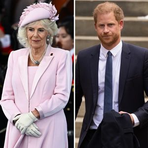 So abfällig nennt Prinz Harry Königin Camilla in seinem Buch