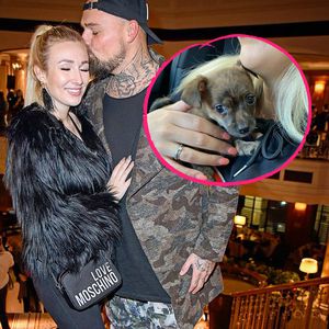 Zweiter Hund: Nachwuchs bei Jessica und Niklas Schröder