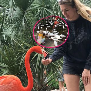 Urlaubsspaß: Nina Bott relaxt mit ihrer Familie in Florida