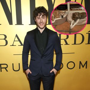 Innerhalb einer Woche: Nolan Goulds Hunde sind gestorben!