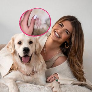 Blutige Wunden: Novalanaloves Hund Oreo wurde attackiert