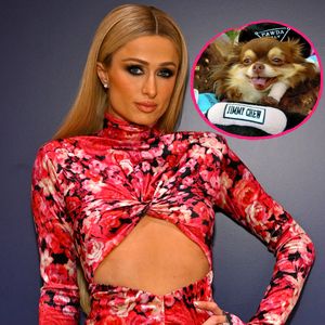 "Mehr als ein Haustier": Paris Hiltons Chihuahua ist tot