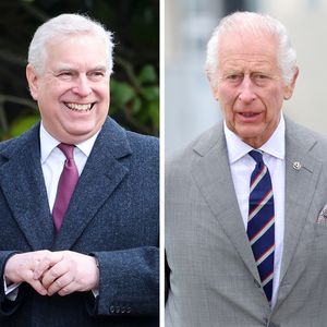 Royal-Comeback: Wird Prinz Andrew etwa bald Charles' Pilot?