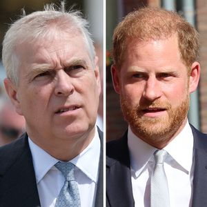 Sind Prinz Andrew und Harry der Royal-Family nicht würdig?