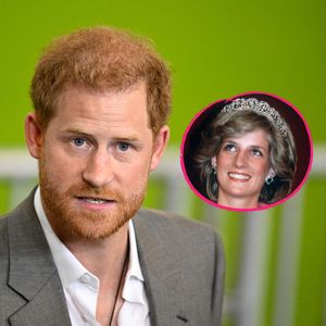 Durch Leopard: Prinz Harry bekam Botschaft von toter Diana!
