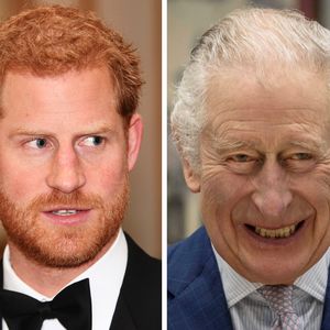 Nach Harrys Rauswurf: König Charles modernisiert Monarchie