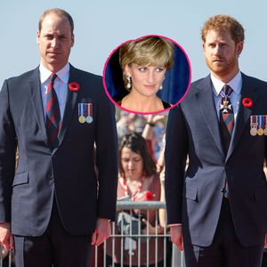 Prinz Williams Kampf um Diana-Interview: Hilft Harry nicht?