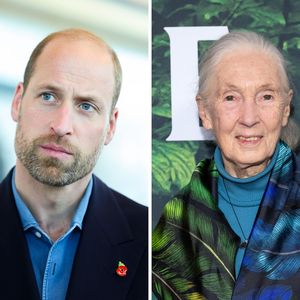 Prinz William ehrt Jane Goodall (†91) für ihren Pioniergeist