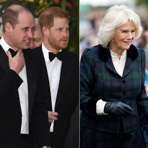 Wussten Prinz William und Harry nichts von Camillas Titel?