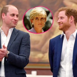 William und Harry geben Update zu Prinzessin-Diana-Denkmal