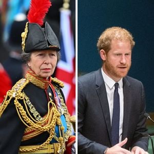 Royale Fehde: Prinzessin Annes Vertrauen hat Harry verspielt