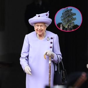 Zu Ehren der Queen: 350 Bäume werden im Königreich gepflanzt