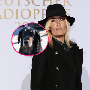 Sarah Connor traurig: Hündin Nala nach 13 Jahren verstorben