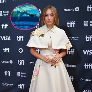 Nach geplatzter Hochzeit: Sydney Sweeney spielt Meerjungfrau