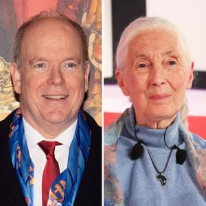Fürst Albert nimmt Abschied von Ikone Jane Goodall (†91)