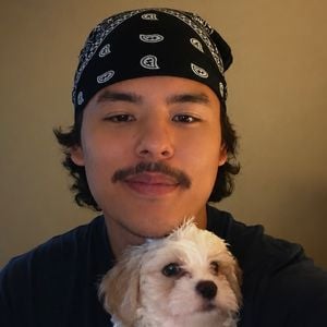 Tiere misshandelt? Collin Gosselin schießt gegen Mutter Kate