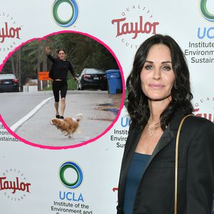 Dramatische Bilder: Courteney Cox' Hunde knapp vor Unfalltod