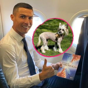 Chinesischer Schopfhund: Netz lacht über Ronaldos neues Tier