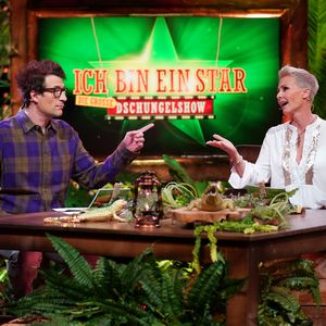 Wer soll die Dschungelshow und das goldene Ticket gewinnen?