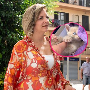 Danni Büchner bestätigt: Ihr Kätzchen ist tatsächlich tot