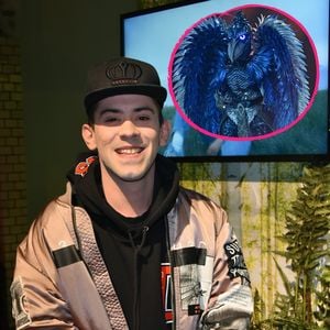 Daniele Negroni hat "Masked Singer"-Schuhschnabel enttarnt!