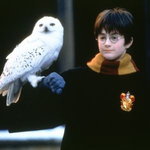 Daniel Radcliffe in "Harry Potter und der Stein der Weisen"